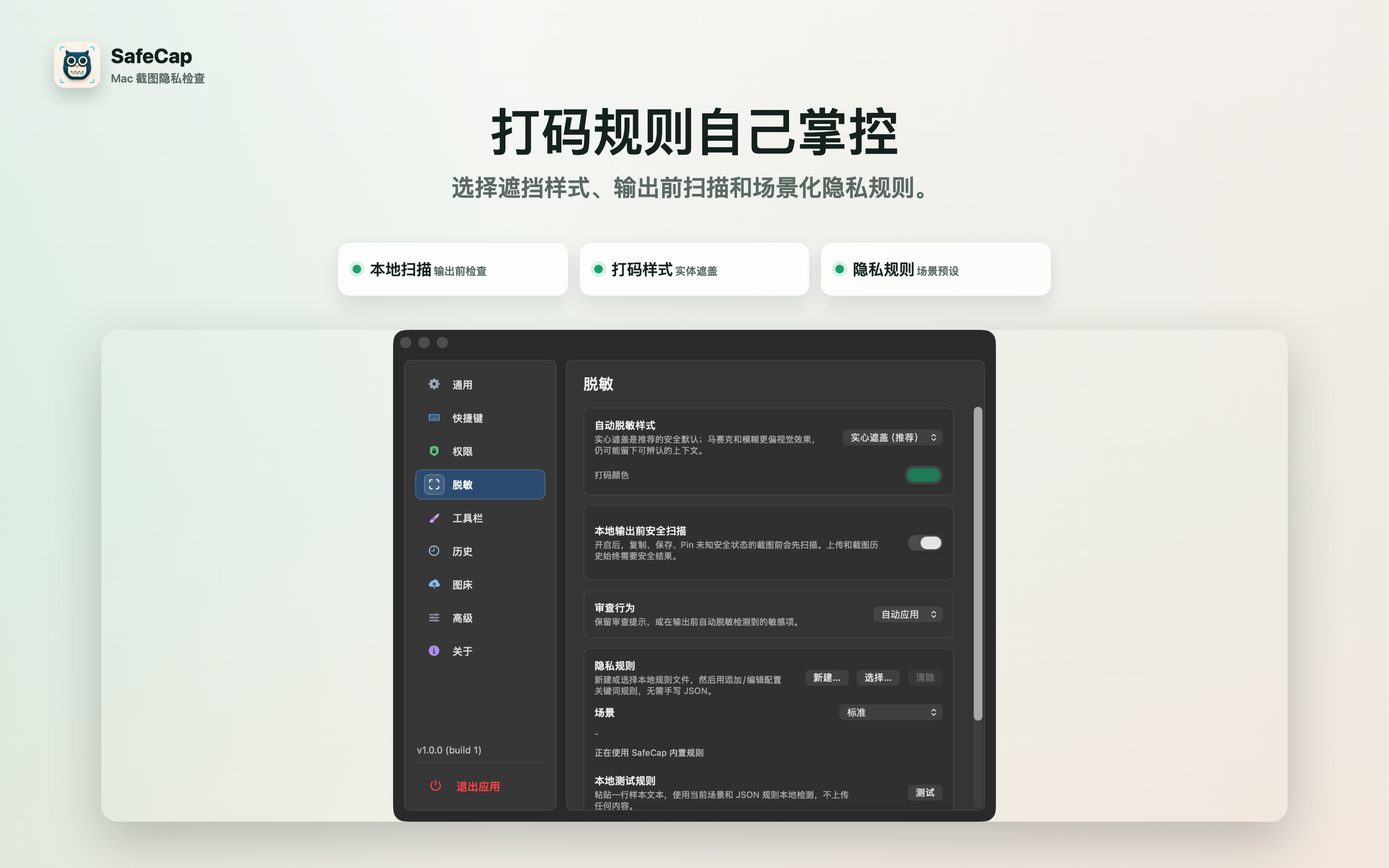 SafeCap 打码设置预览